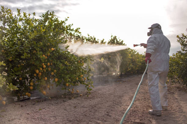 Best Bed Bug Extermination  in Watkinsville, GA