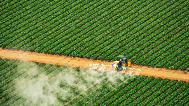 Bird Control in Watkinsville, GA