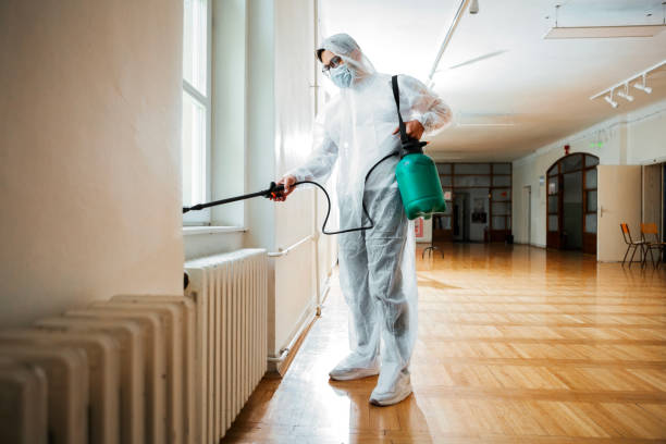 Best Flea Control Services  in Watkinsville, GA