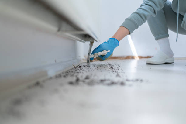 Best Cockroach Control Services  in Watkinsville, GA